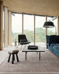 Elegant Dyed Special Shiny High-Quality Dense Woven Living Room Hallway Modern Rug 02 BEIGE